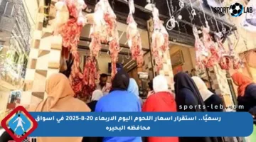 رسميًا.. استقرار أسعار اللحوم اليوم الأربعاء 20-8-2025 في أسواق محافظة البحيرة